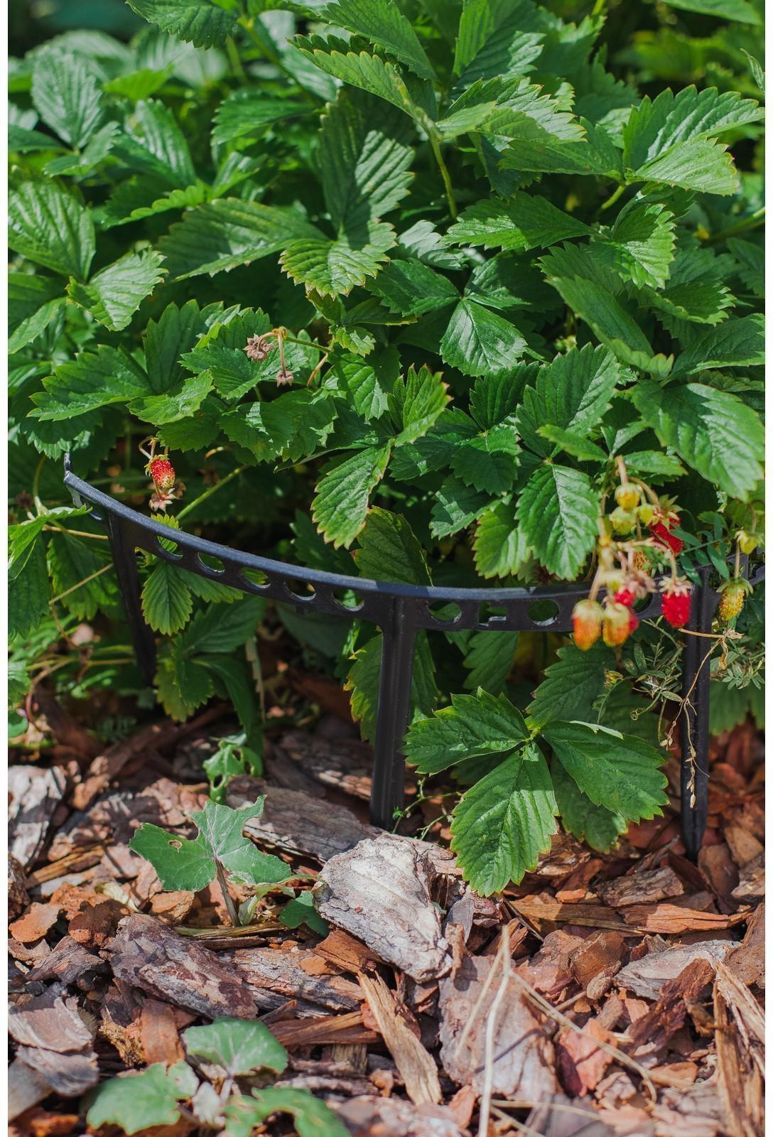 Кустодержатель для клубники, d = 11 см, пластик, набор 10 шт., цвет МИКС