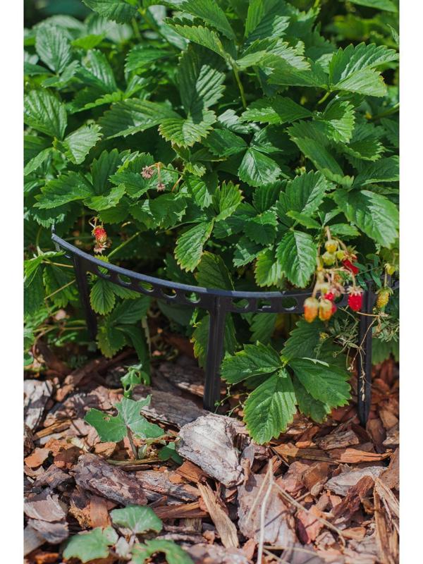 Кустодержатель для клубники, d = 11 см, пластик, набор 10 шт., цвет МИКС