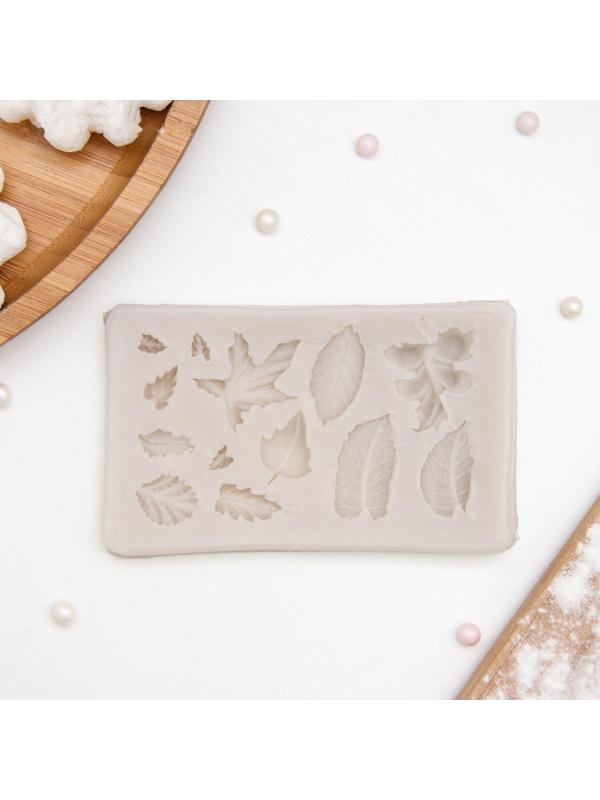 Молд «Гербарий», 8×5×0,8 см, цвет МИКС