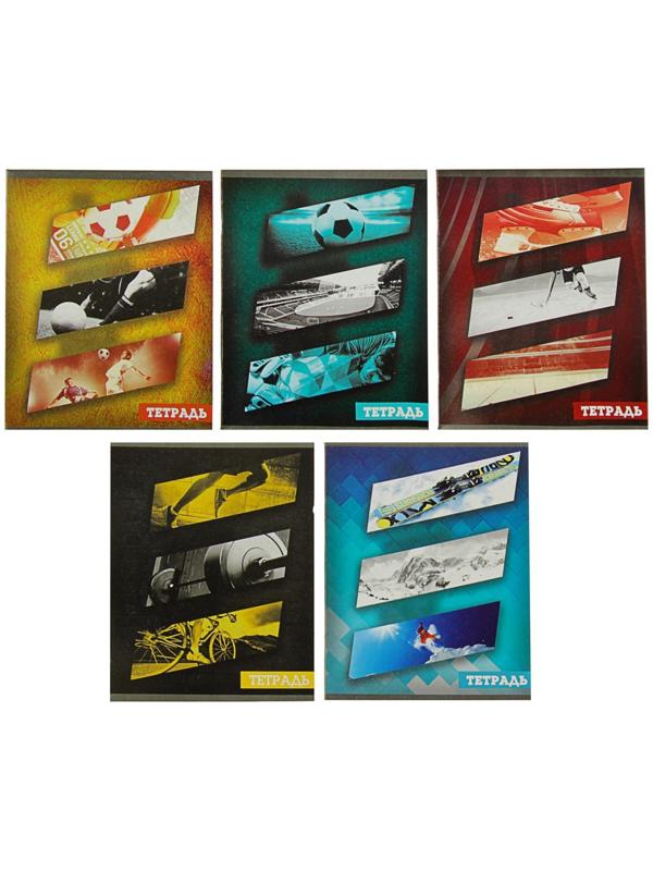 Тетрадь 48 листов в клетку Calligrata 