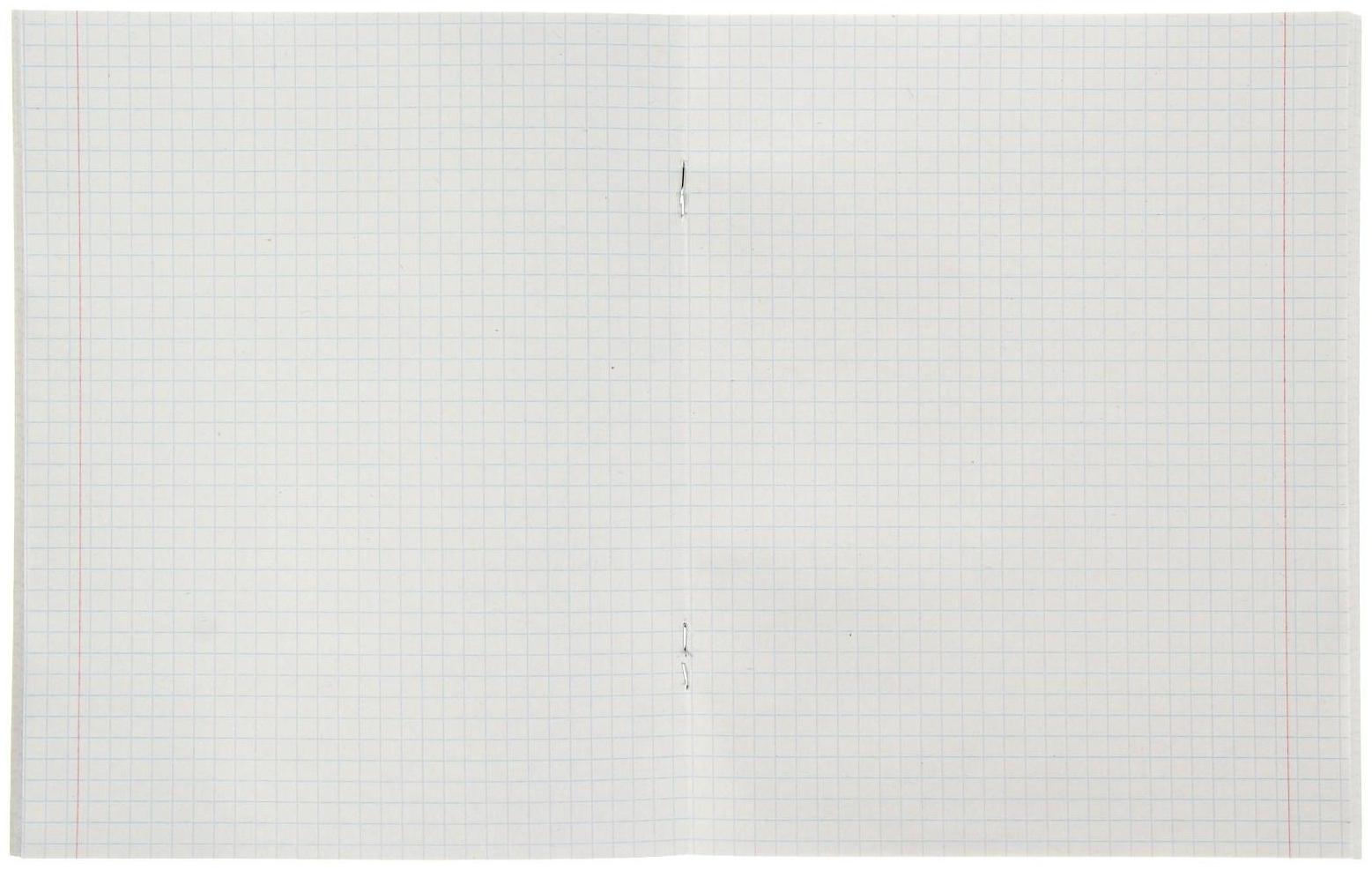 Тетрадь 48 листов в клетку Calligrata 