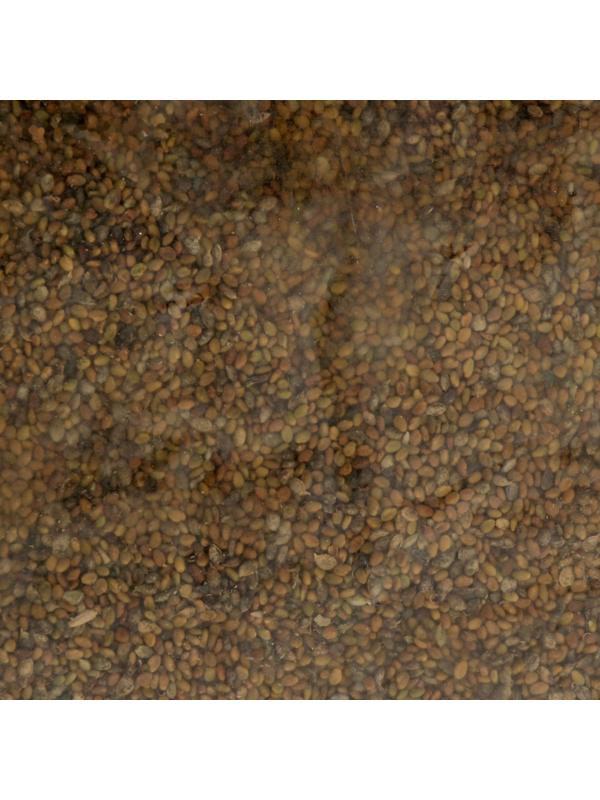 Семена Донник жёлтый 200г.