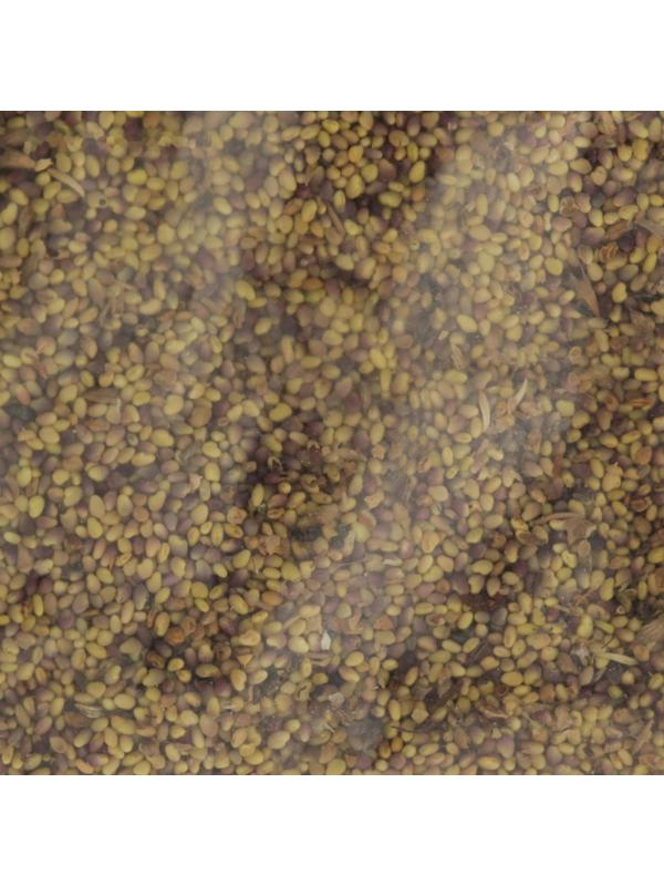 Семена Клевер красный 50 г.