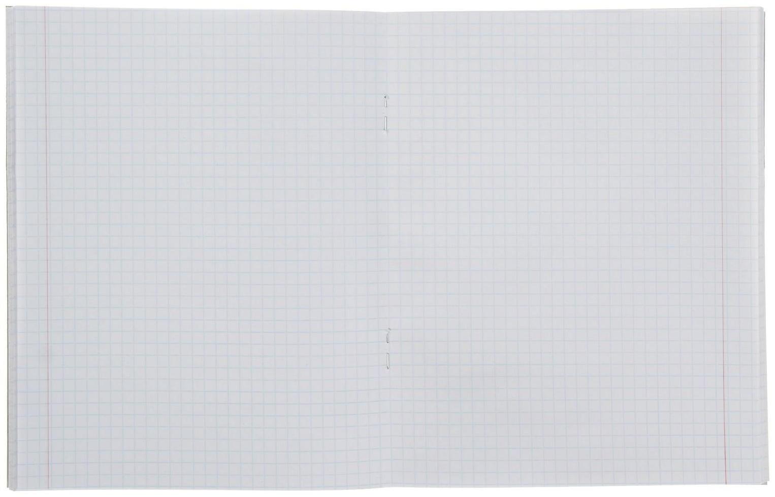 Тетрадь 48 листов в клетку Calligrata 