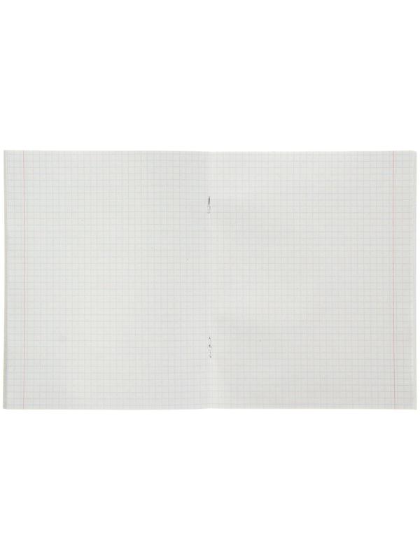 Тетрадь 48 листов в клетку Calligrata 