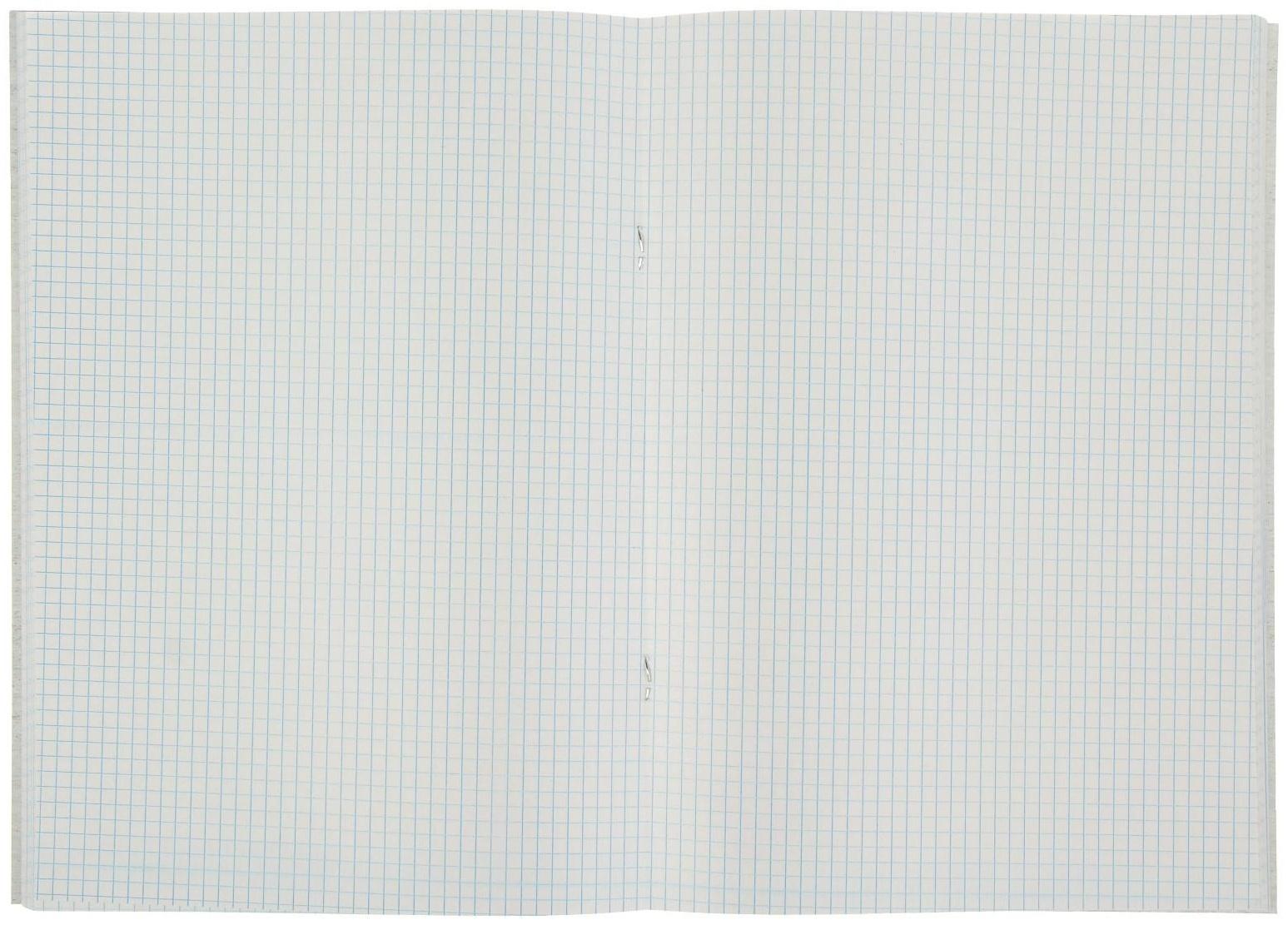 Тетрадь А4, 48 листов в клетку 