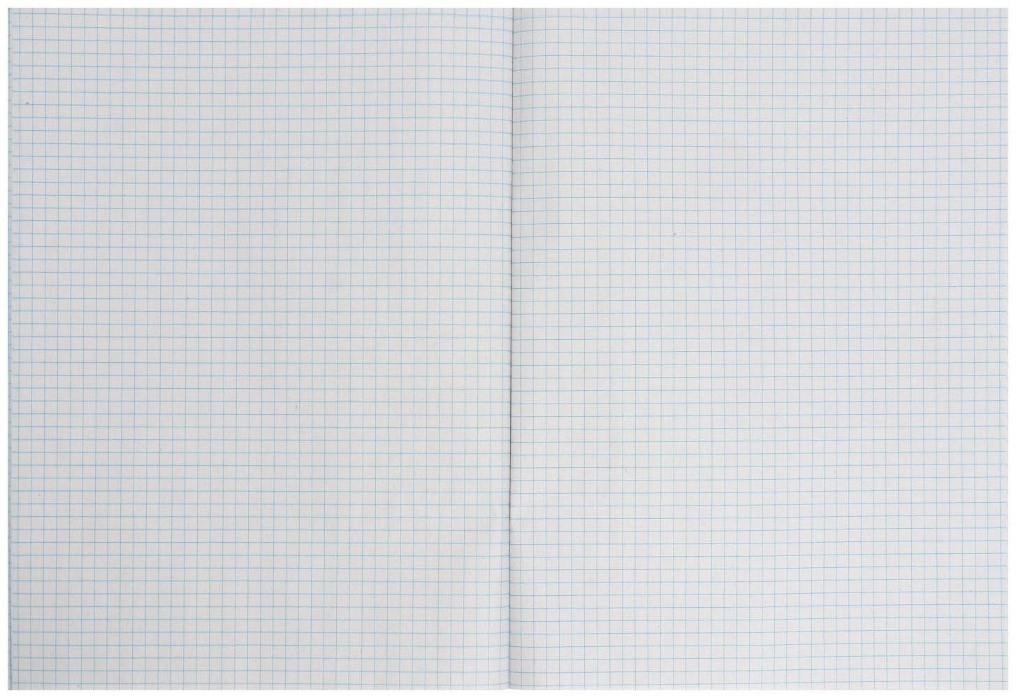 Тетрадь А4, 48 листов в клетку Calligrata 