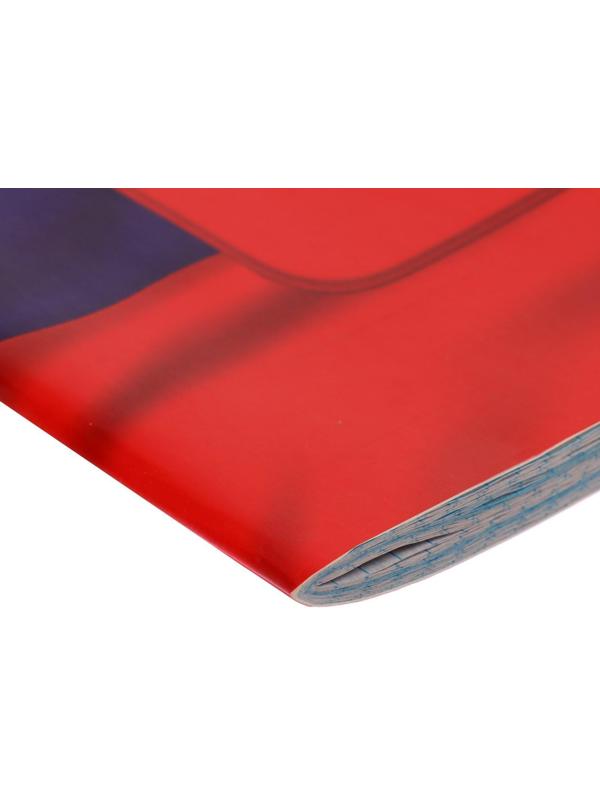 Тетрадь А4, 48 листов в клетку Calligrata 