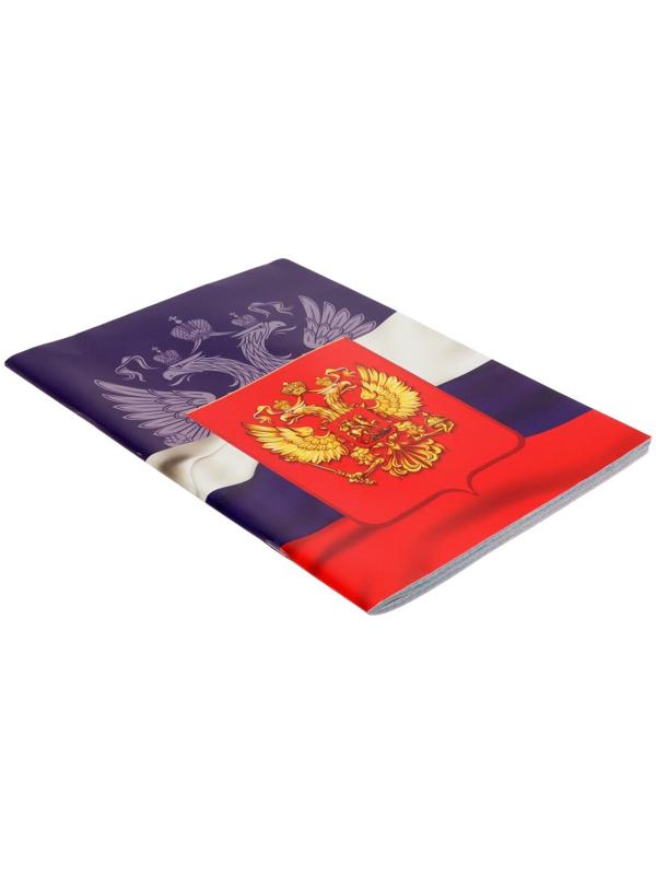 Тетрадь А4, 48 листов в клетку Calligrata 