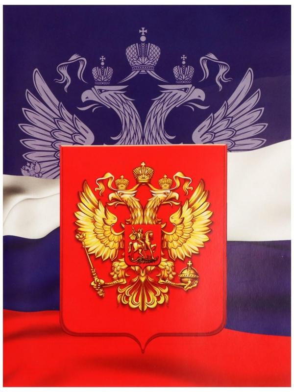 Тетрадь А4, 48 листов в клетку Calligrata 