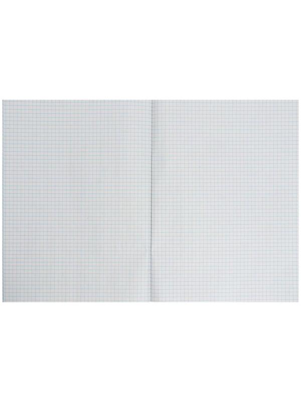 Тетрадь А4, 48 листов в клетку Calligrata 