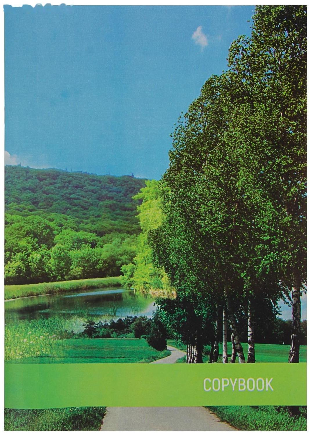 Тетрадь А4, 96 листов в клетку 