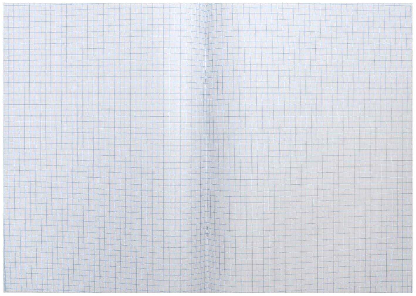 Тетрадь А4, 96 листов в клетку Calligrata 