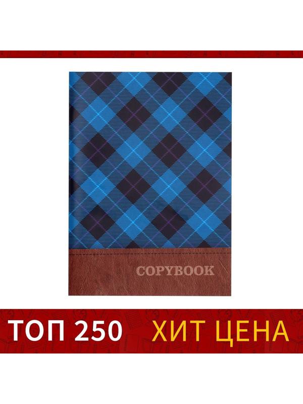 Тетрадь А4, 96 листов в клетку Calligrata 