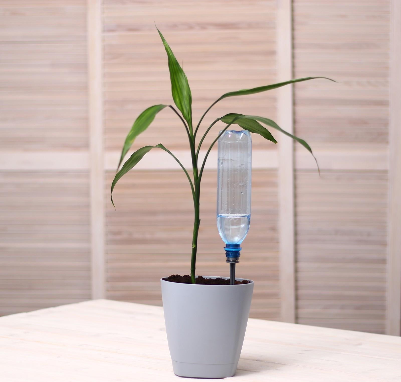 Автополив для комнатных растений, под бутылку, набор 4 шт., «Капель»