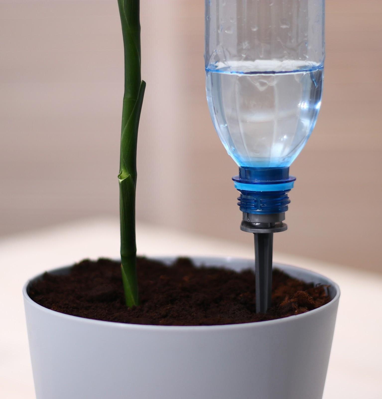 Автополив для комнатных растений, под бутылку, набор 4 шт., «Капель»