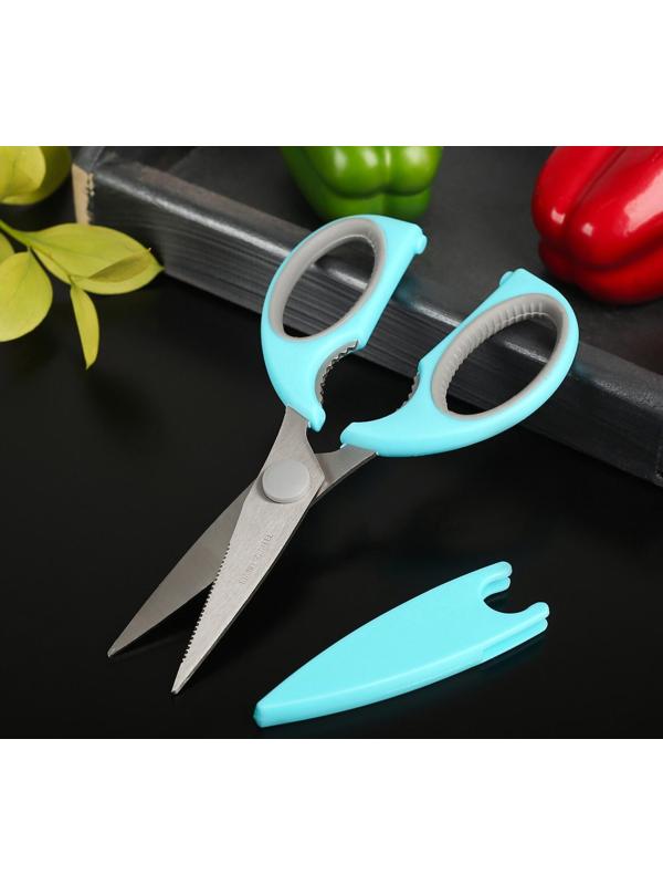 Ножницы кухонные Доляна «Эльба», 22 см, с чехлом для лезвий, цвет МИКС