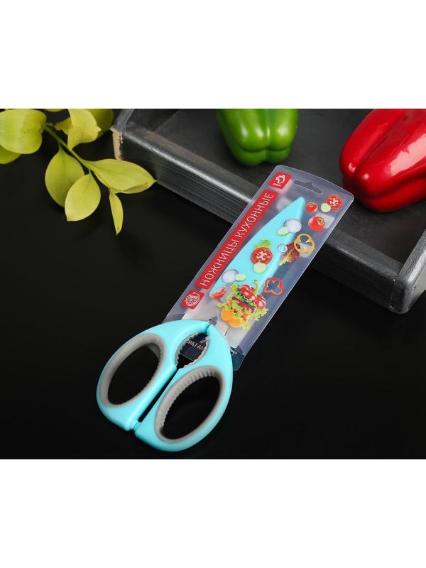 Ножницы кухонные Доляна «Эльба», 22 см, с чехлом для лезвий, цвет МИКС