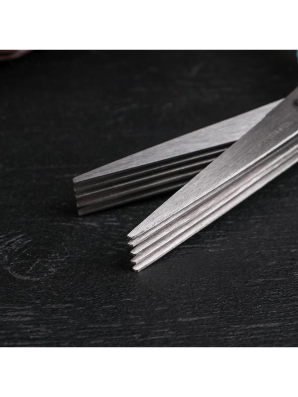 Ножницы кухонные для зелени Доляна «Шеф», 21 см, цвет МИКС