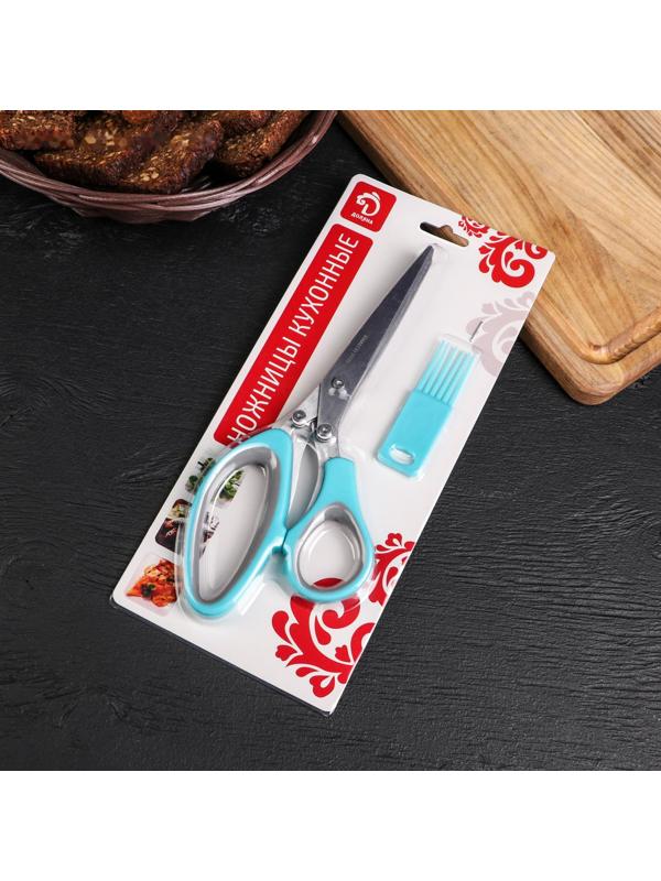 Ножницы кухонные для зелени Доляна «Шеф», 21 см, цвет МИКС