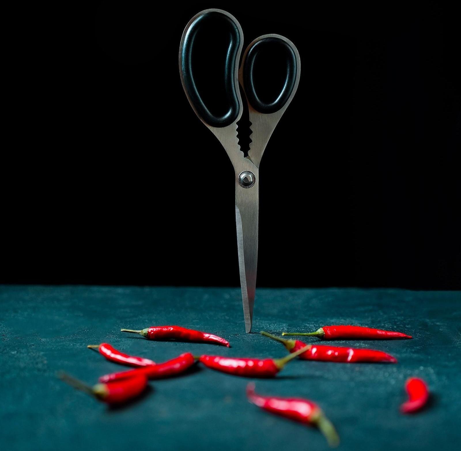 Ножницы кухонные Доляна «Профи», 23 см