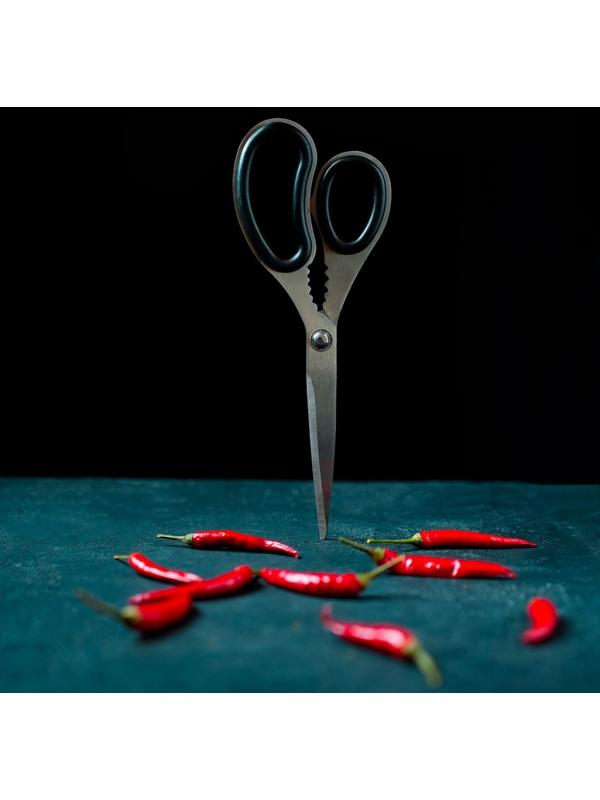 Ножницы кухонные Доляна «Профи», 23 см