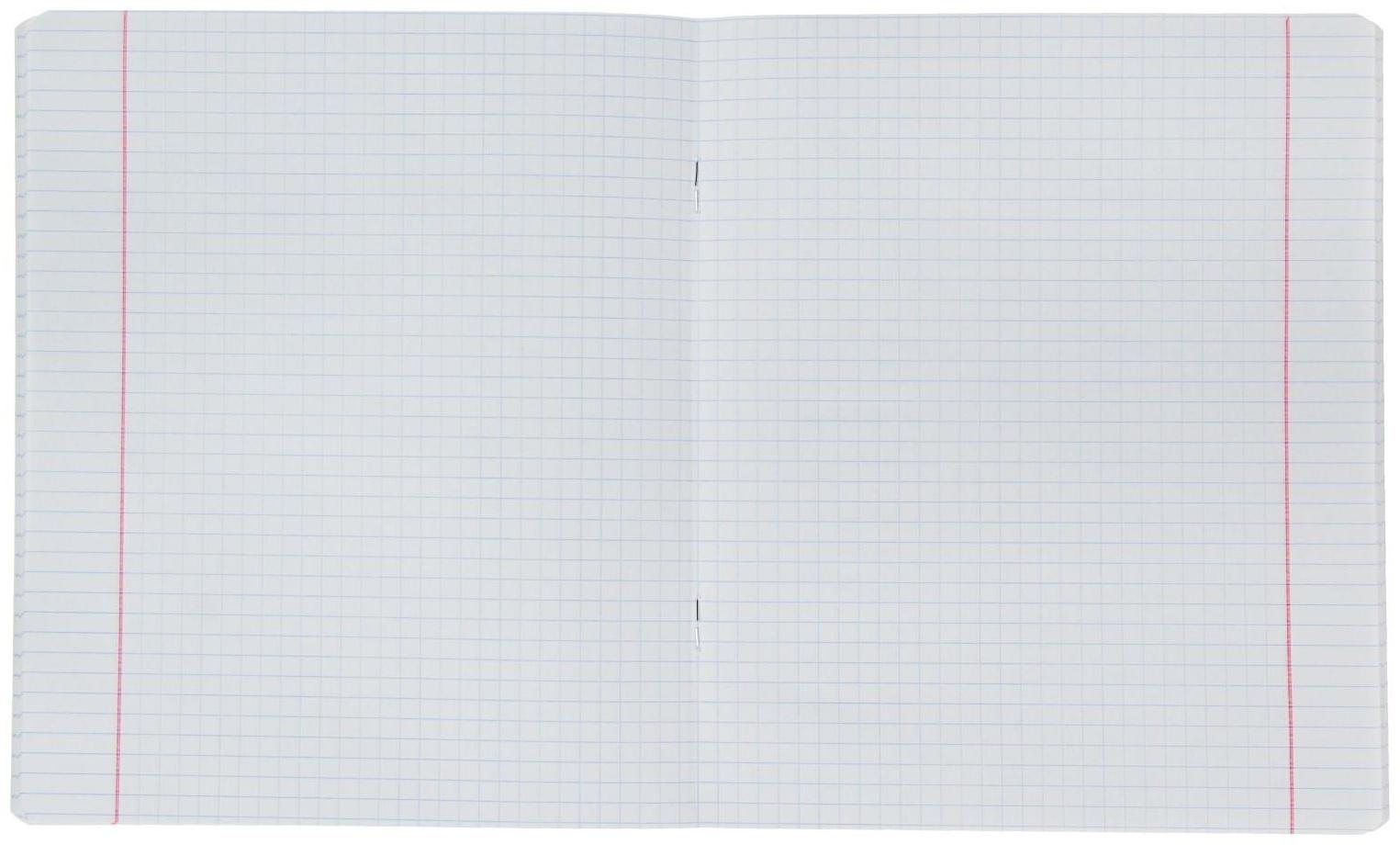 Тетрадь 48 листов в клетку ErichKrause Color Stones, обложка мелованный картон, выборочный УФ-лак, блок офсет, белизна 100% / Микс 5 шт.