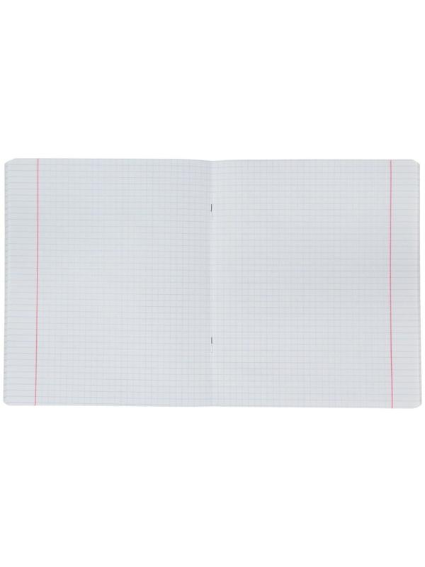 Тетрадь 48 листов в клетку ErichKrause Color Stones, обложка мелованный картон, выборочный УФ-лак, блок офсет, белизна 100% / Микс 5 шт.