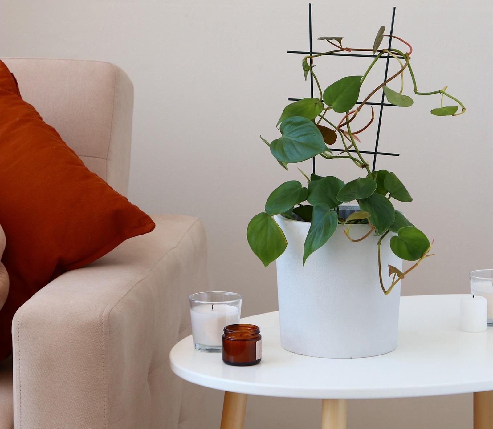 Шпалера, 40 × 20 × 0.3 см, металл, зелёная, «Лесенка»