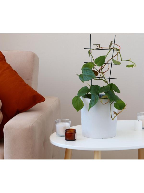 Шпалера, 40 × 20 × 0.3 см, металл, зелёная, «Лесенка»