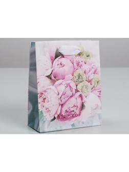 Пакет ламинированный вертикальный «Радости!», S 12 х 15 х 5,5