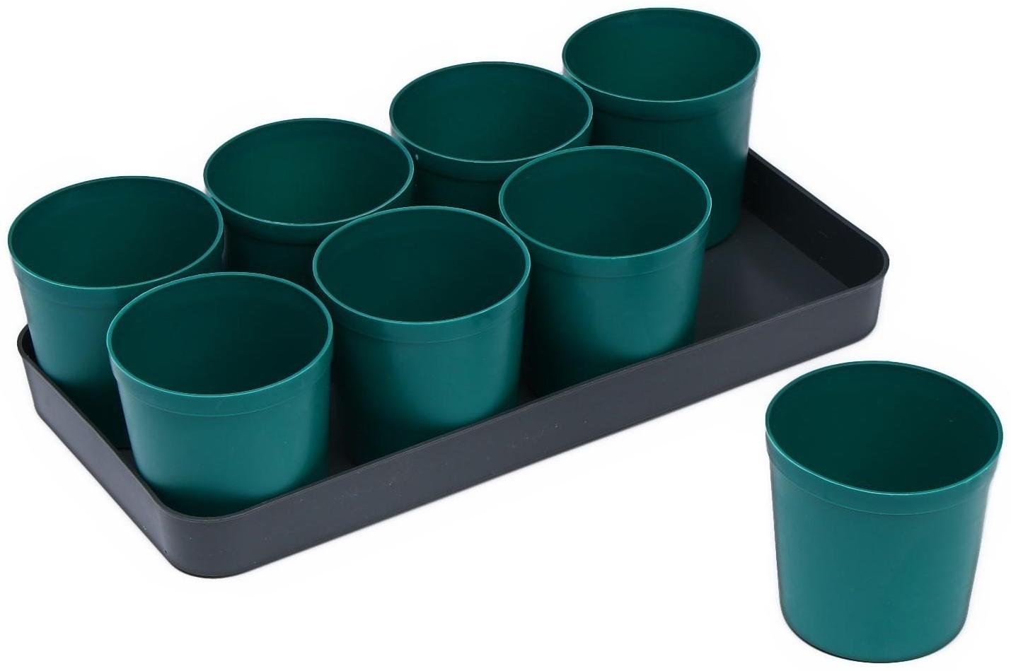 Набор для рассады: стаканы по 500 мл (8 шт.), поддон 40 × 20 см, цвет МИКС, Greengo