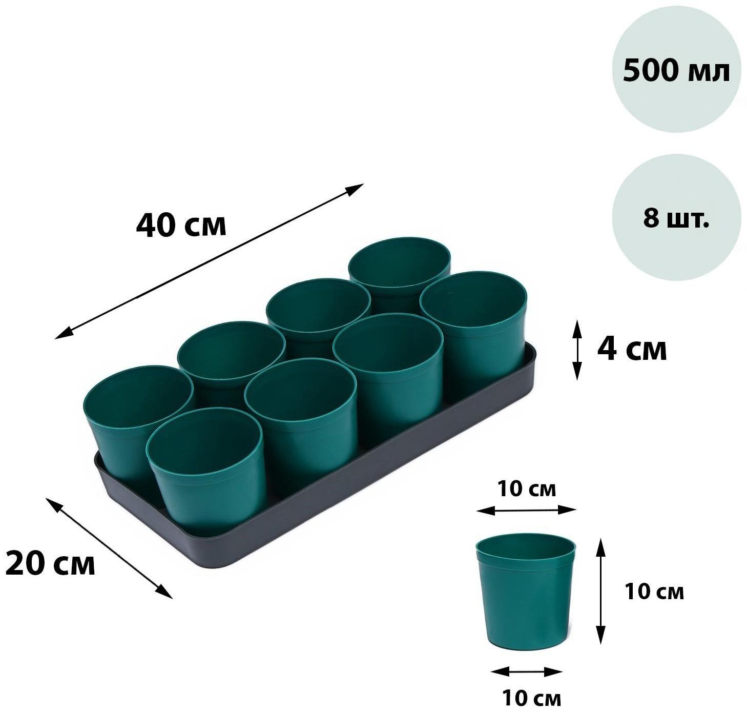 Набор для рассады: стаканы по 500 мл (8 шт.), поддон 40 × 20 см, цвет МИКС, Greengo