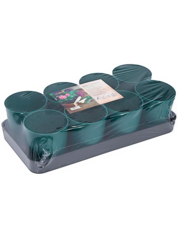 Набор для рассады: стаканы по 500 мл (8 шт.), поддон 40 × 20 см, цвет МИКС, Greengo