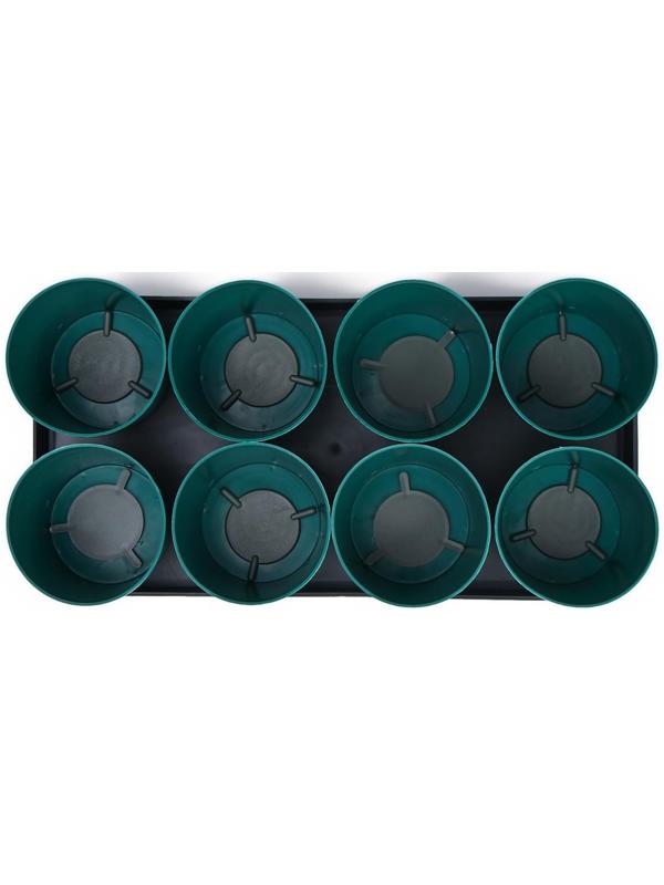 Набор для рассады: стаканы по 500 мл (8 шт.), поддон 40 × 20 см, цвет МИКС, Greengo