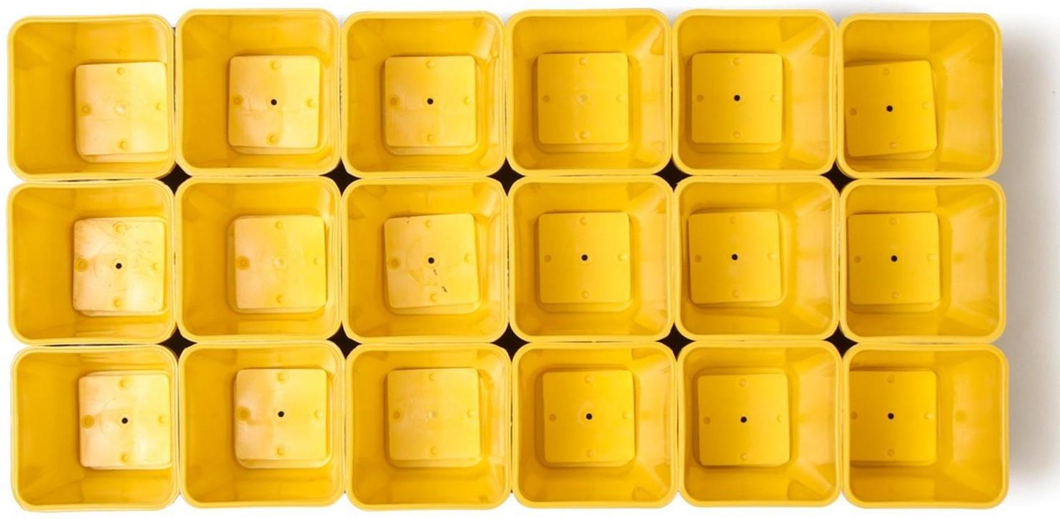 Набор для рассады: стаканы по 200 мл (18 шт.), поддон 36,5 × 17 см, цвет МИКС, Greengo