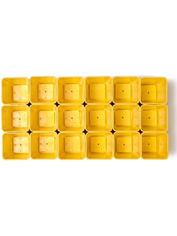 Набор для рассады: стаканы по 200 мл (18 шт.), поддон 36,5 × 17 см, цвет МИКС, Greengo