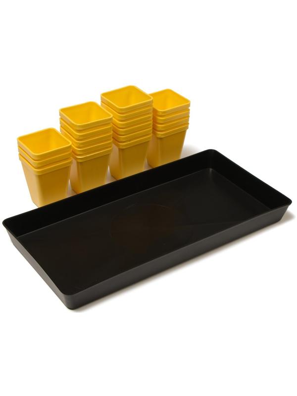 Набор для рассады: стаканы по 200 мл (18 шт.), поддон 36,5 × 17 см, цвет МИКС, Greengo