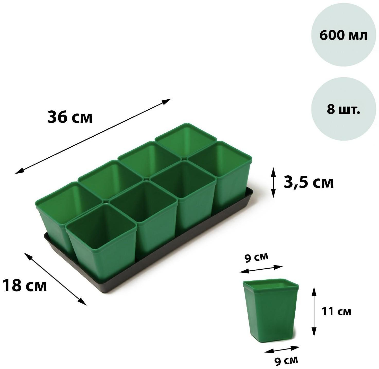 Набор для рассады: стаканы по 600 мл (8 шт.), поддон 36 × 18 см, цвет МИКС, Greengo