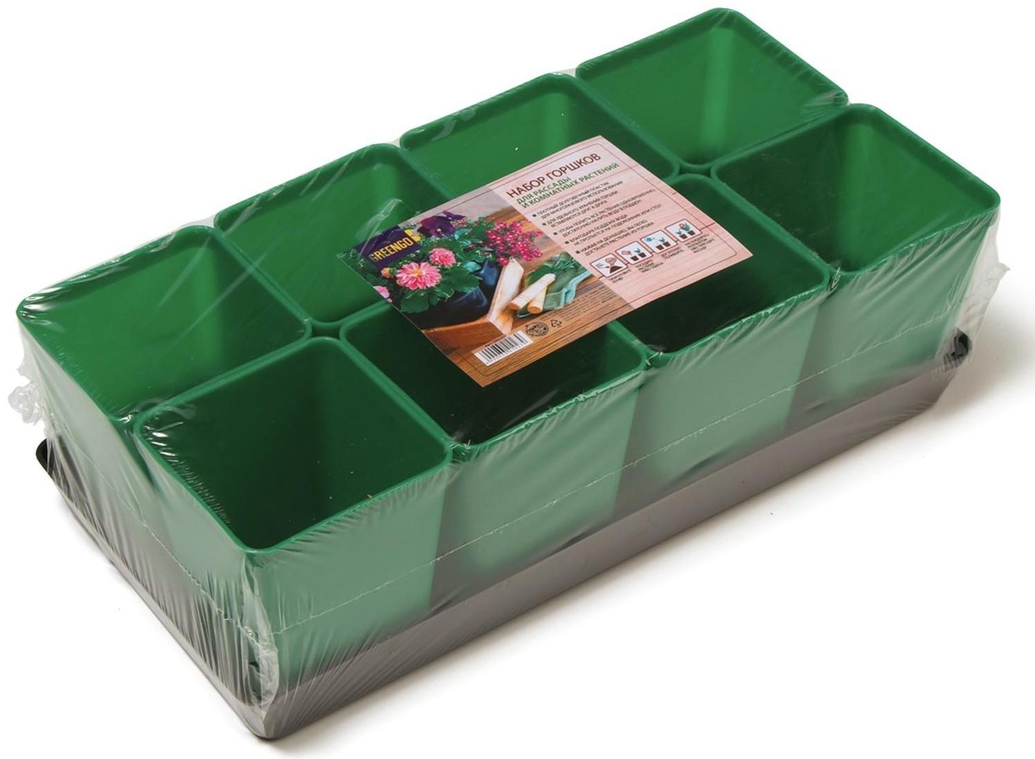 Набор для рассады: стаканы по 600 мл (8 шт.), поддон 36 × 18 см, цвет МИКС, Greengo