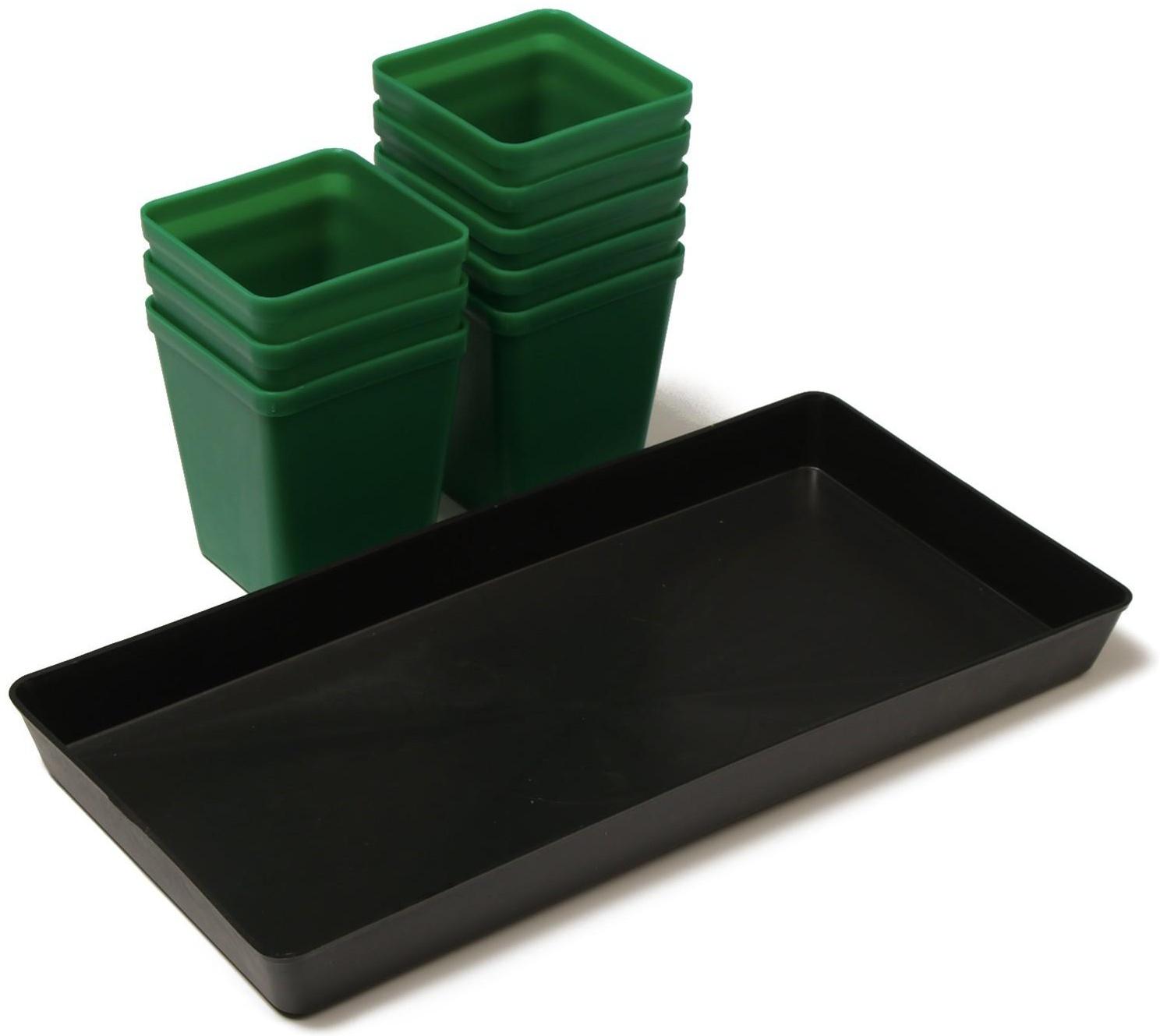 Набор для рассады: стаканы по 600 мл (8 шт.), поддон 36 × 18 см, цвет МИКС, Greengo