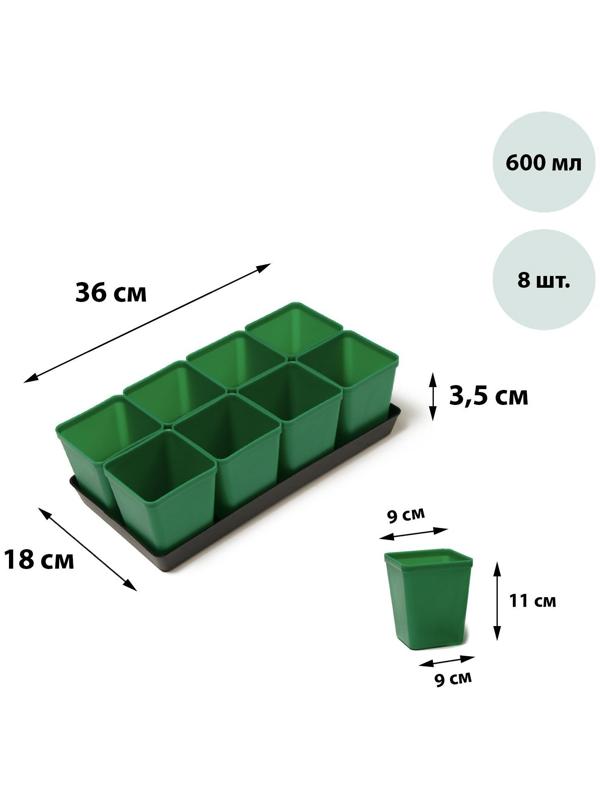 Набор для рассады: стаканы по 600 мл (8 шт.), поддон 36 × 18 см, цвет МИКС, Greengo