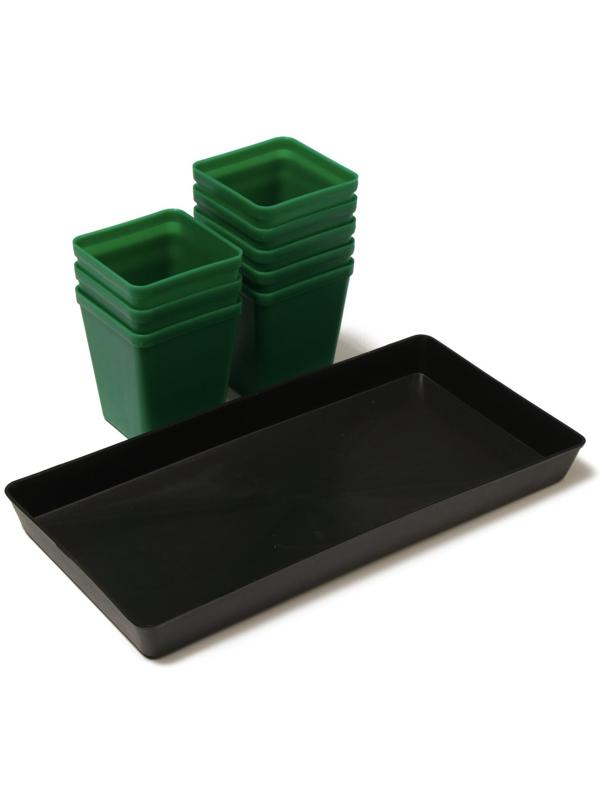 Набор для рассады: стаканы по 600 мл (8 шт.), поддон 36 × 18 см, цвет МИКС, Greengo