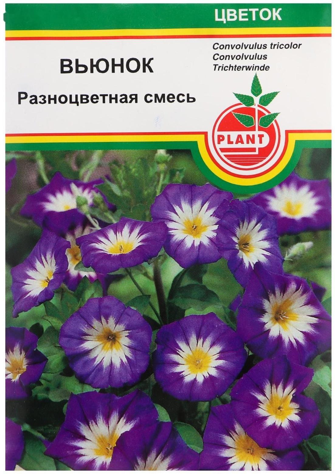 Семена цветов 