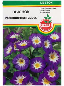 Семена цветов 