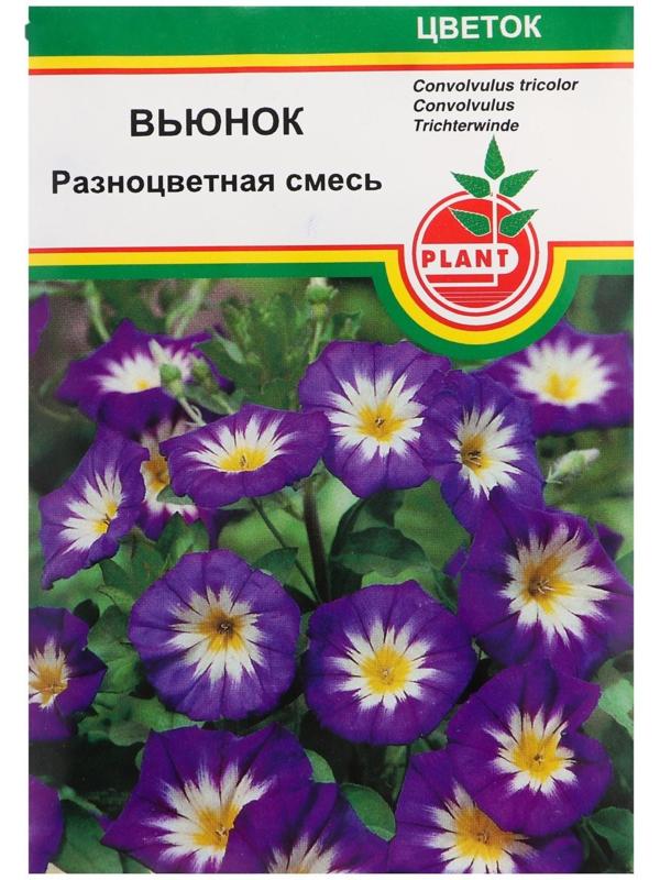 Семена цветов 