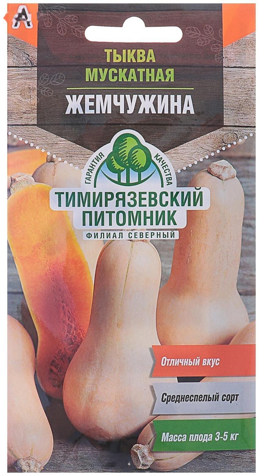 Семена Тыква 