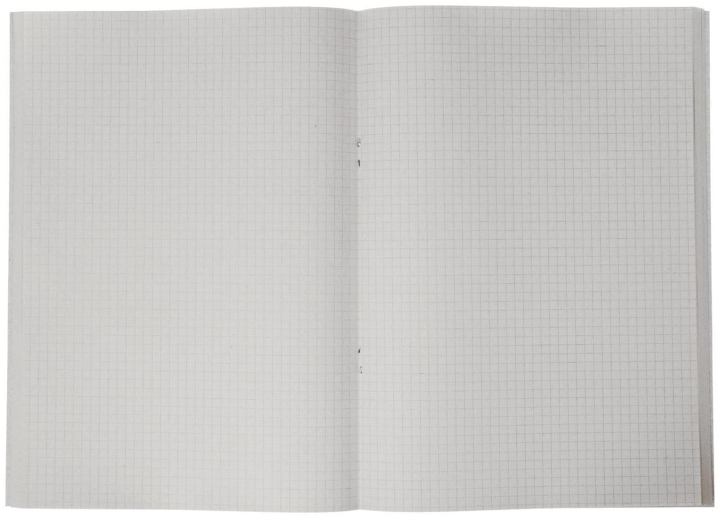 Тетрадь А4, 96 листов в клетку Calligrata 