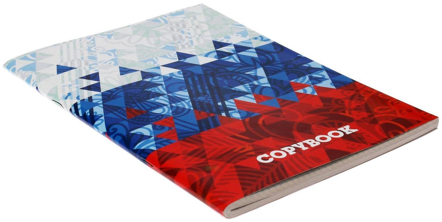 Тетрадь А4, 96 листов в клетку Calligrata 