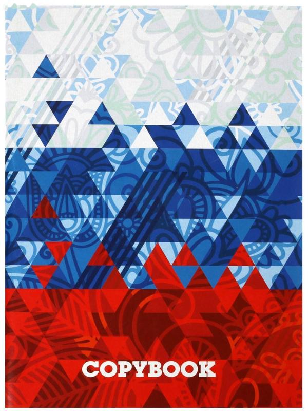 Тетрадь А4, 96 листов в клетку Calligrata 